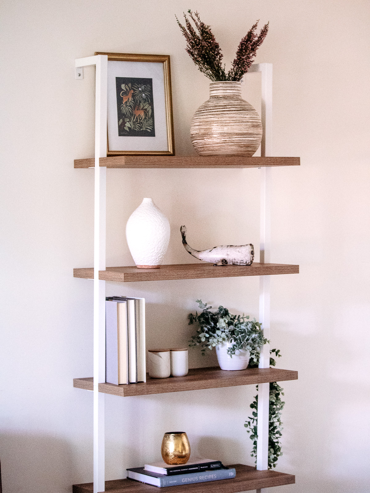 All store modern bookcase